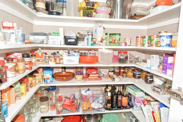 112 Wilton Street Windsor_3