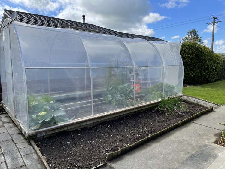 80 Albert Street Winton_15