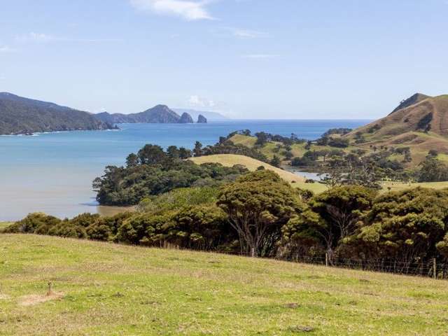 94b Carey Road Port Charles_2