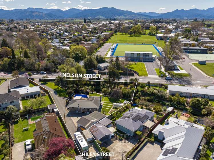 71 Nelson Street Springlands_22
