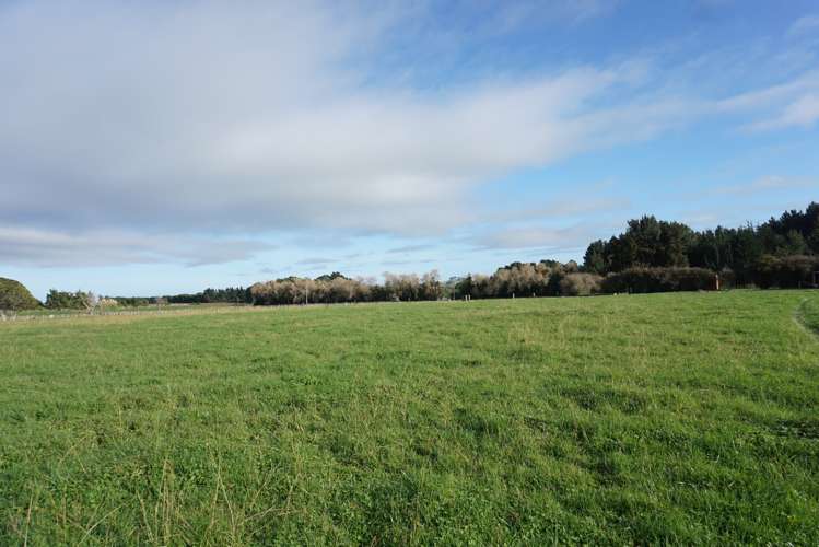 69 Avenue North Road Levin_7