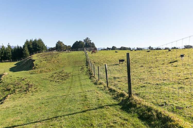 613 Blackburn Road Ongaonga_15