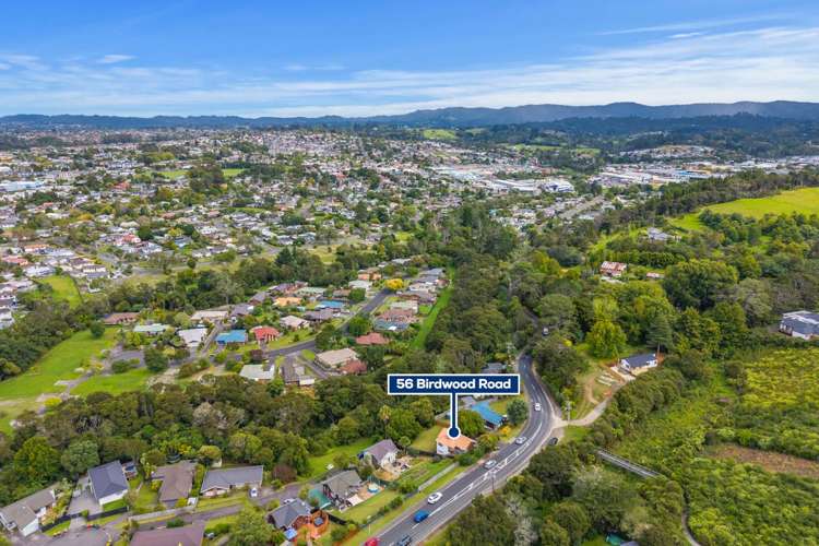 56 Birdwood Road Swanson_18