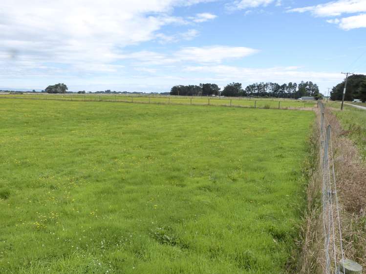 2 Wilson Road South Motu Rimu_2