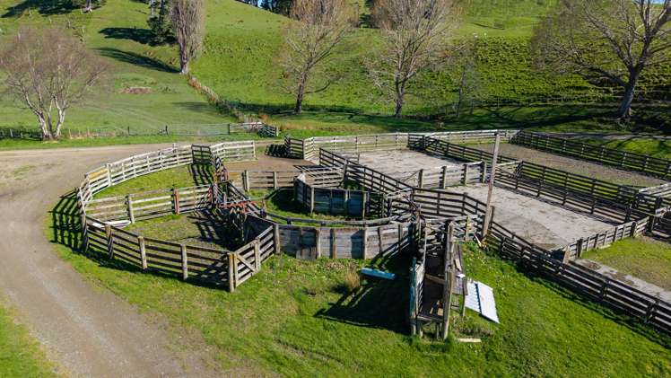 467 Waitahora Valley Road Dannevirke_17