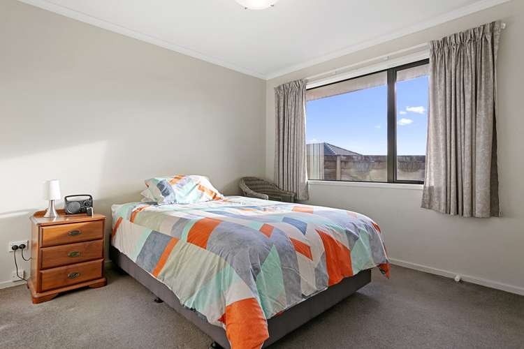 180 Daphne Street Te Awamutu_10