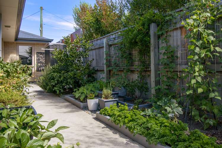 71 Muller Road Blenheim Central_24