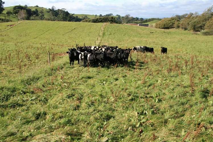 185 Bristol Road Pareora_18