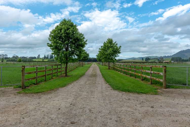 269 Bellevue Road Matangi_13