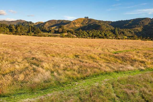 2036D State Highway 2 Masterton_4