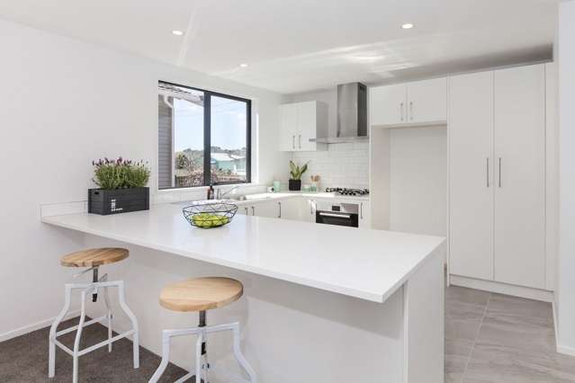 67 Winstone Road Mount Roskill_1