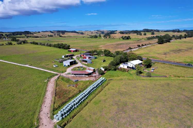 1919 Pouto Road Te Kopuru_2