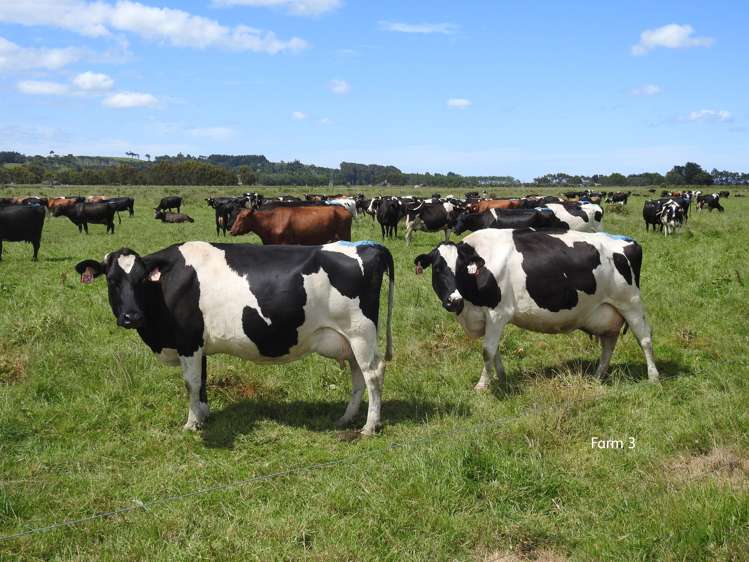 542 Mataura Island Road Wyndham Surrounds_18