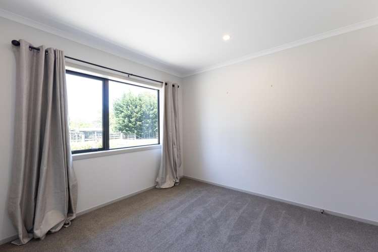 31A Pearce Street Halcombe_6