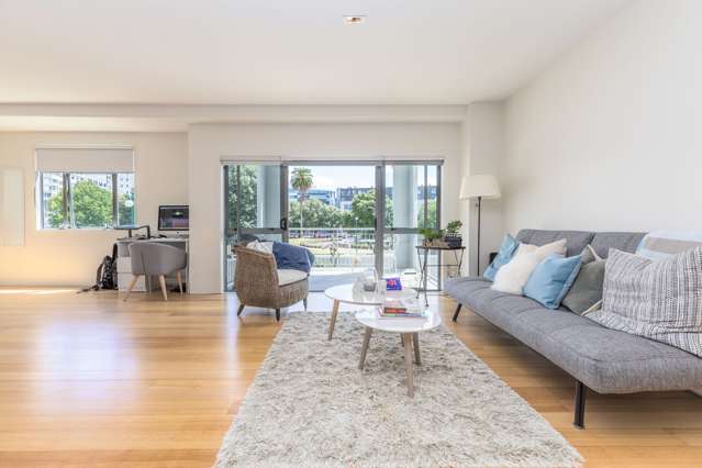 1m/10 Ronayne Street Auckland Central_1