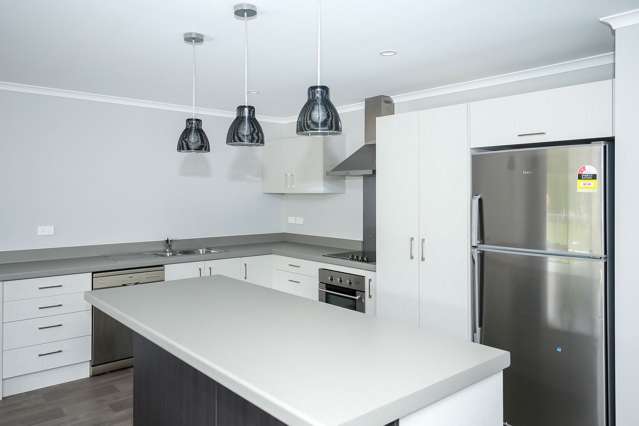 12B Greensboro Street Hamilton East_3