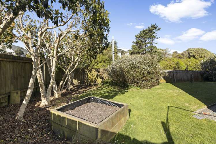 5a Stephen Street Johnsonville_12