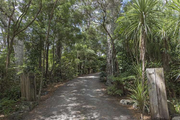 167b Glengarry Road Glen Eden_1