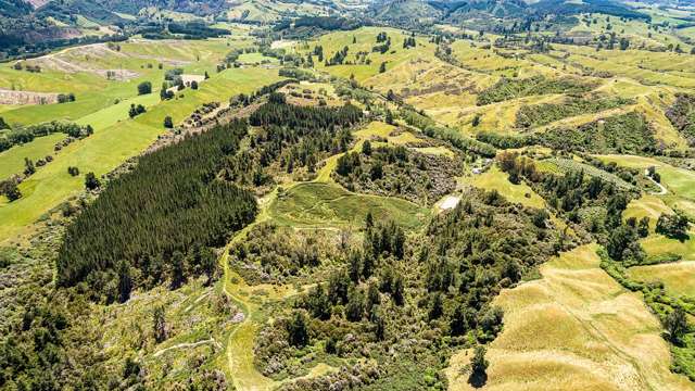 749 Rosedale Road Ngatimoti_4