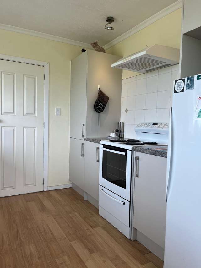 161 Waimotu Road Herbert_2