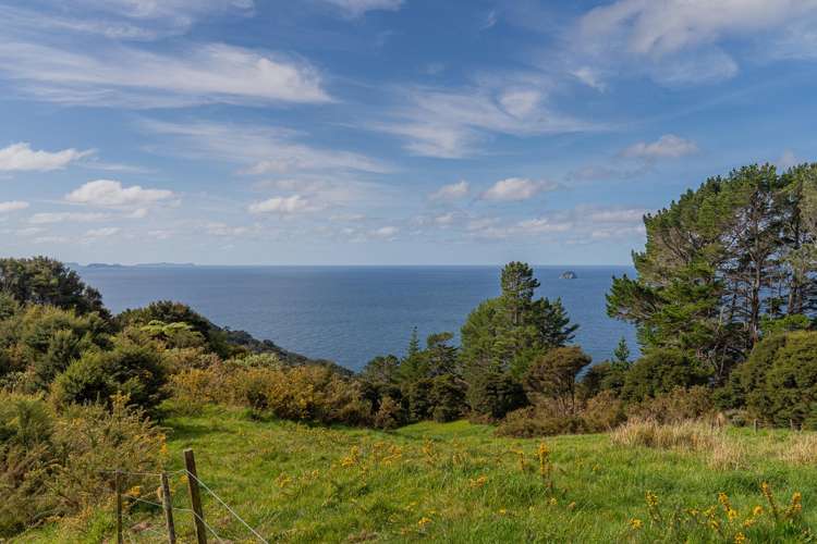 554 Boat Harbour Road Whenuakite_23