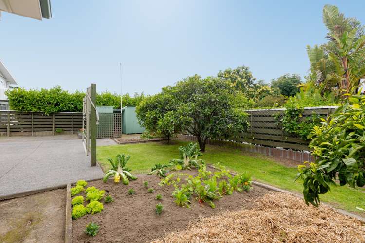 25 Hillcrest Road Otumoetai_16