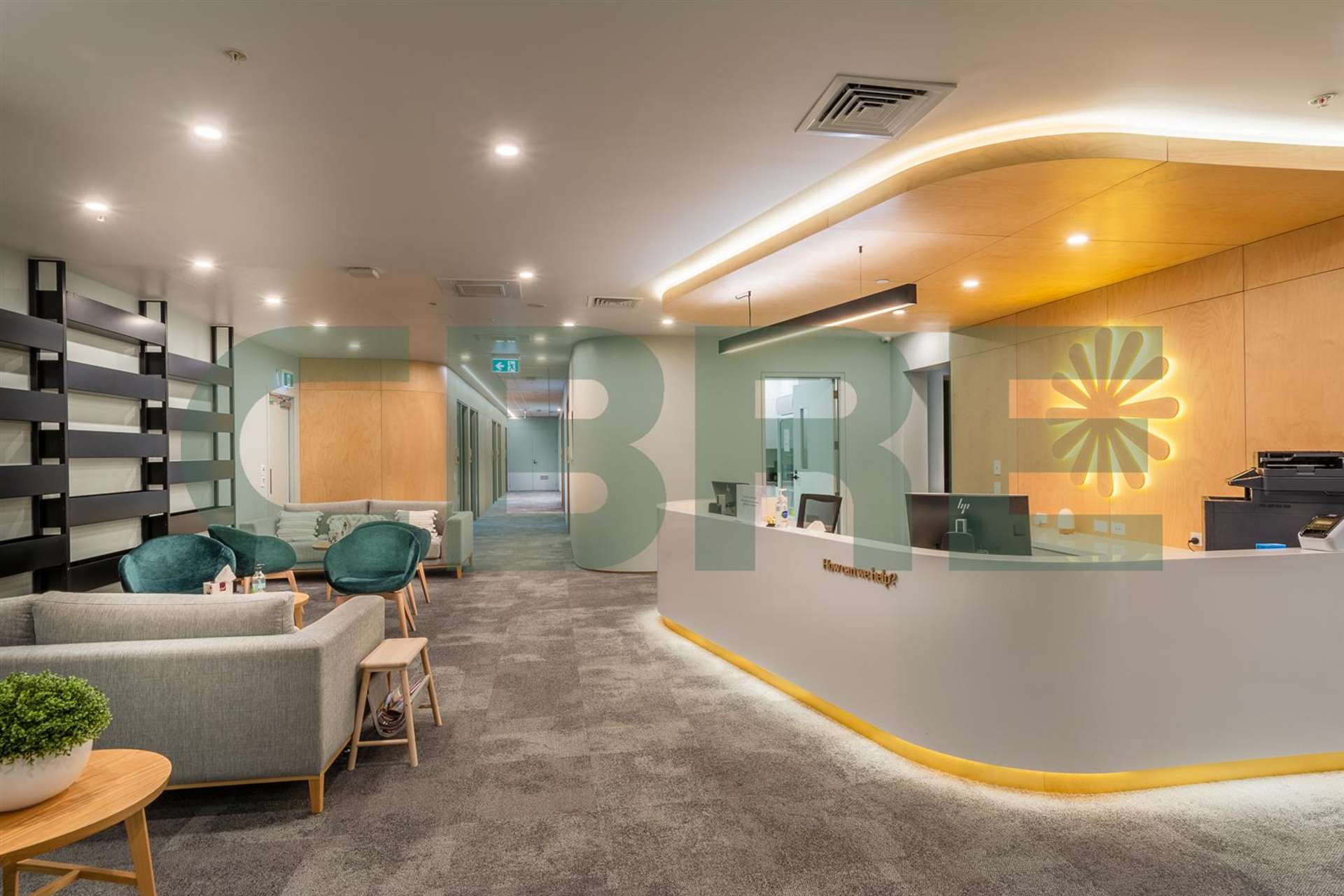 12 Nicholls Lane Parnell_0