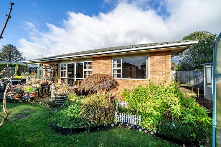 37 Moa Street Waikiwi_19