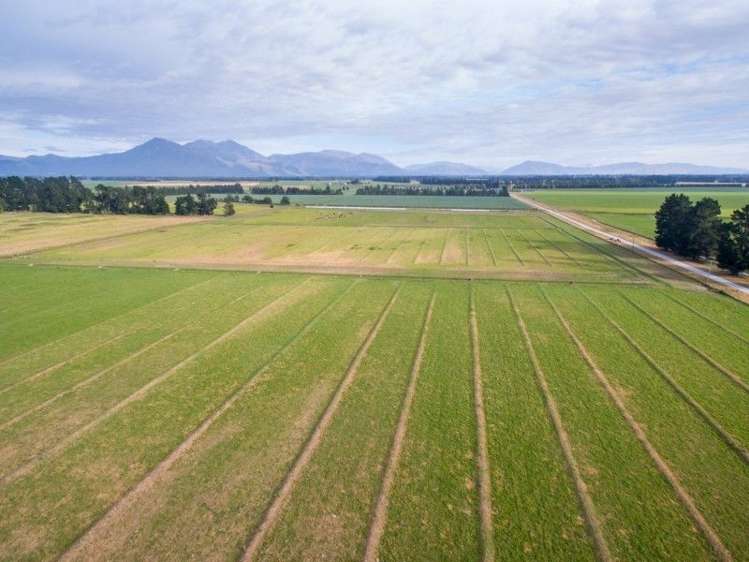 293 Hackthorne Road Carew_11