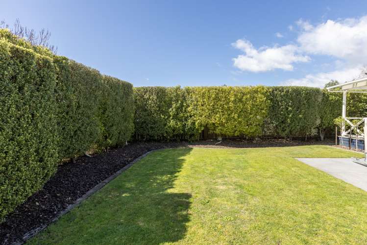 204 Gascoigne Street Raureka_14