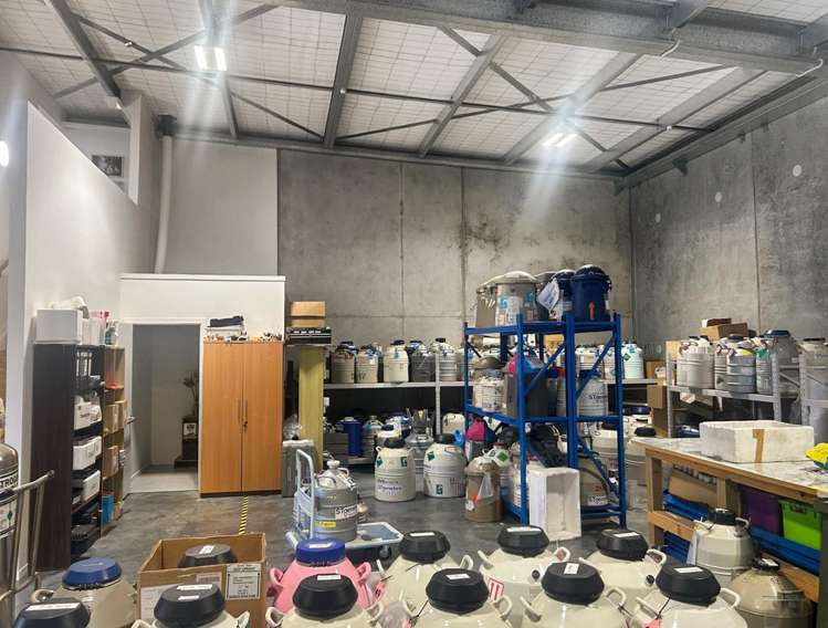 3/123 Ingram Road Rukuhia_2