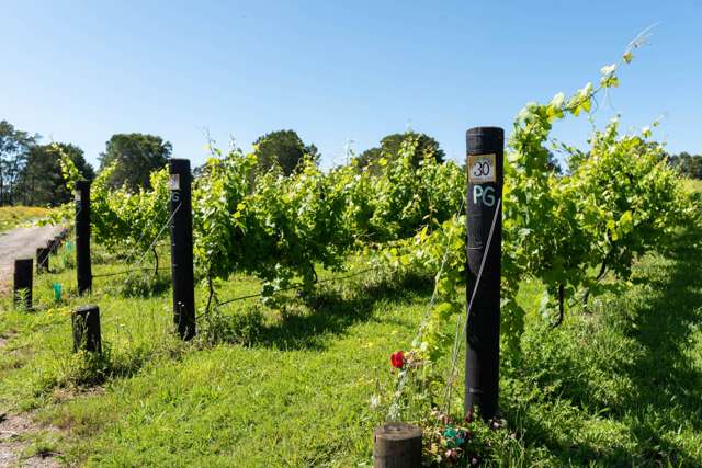 165A Waimate North Road Kerikeri_4