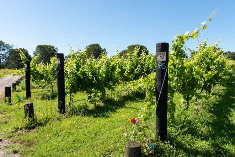 165A Waimate North Road Kerikeri_4