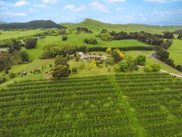 233 Te Mahanga Road Poukawa_19