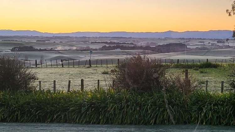 768 Mount Stewart Halcombe Road Halcombe_25