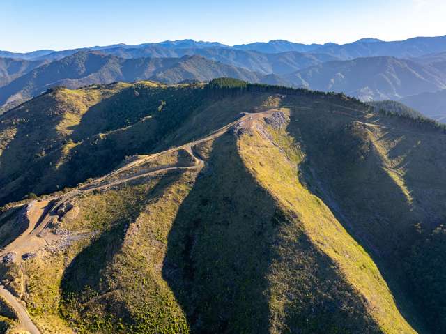 428 Mangatarere Valley Road Carterton_1