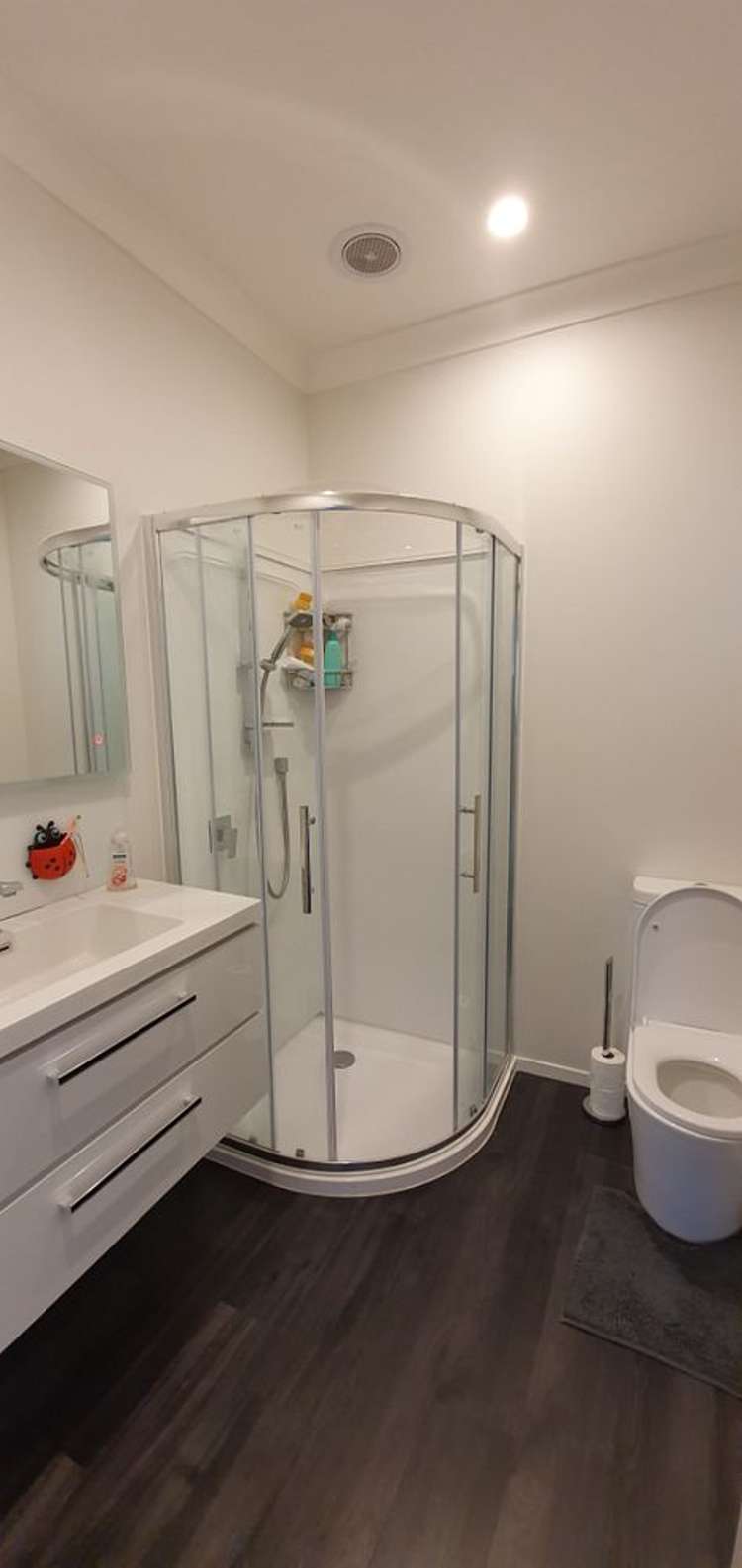 23 Copeland Street Hutt Central_10