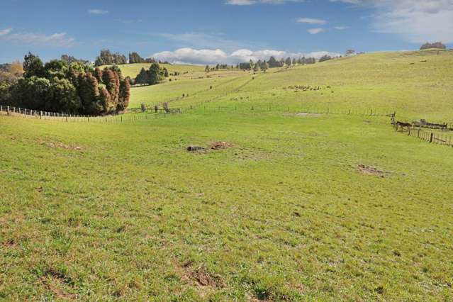 Lot 1/1739 Ponga Road Hunua_3