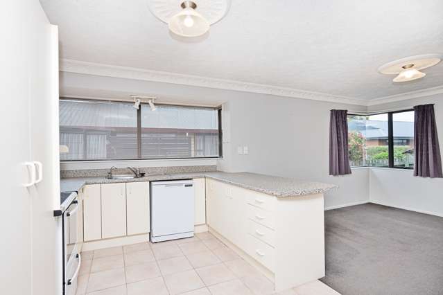 696 Queens Drive Waikiwi_4