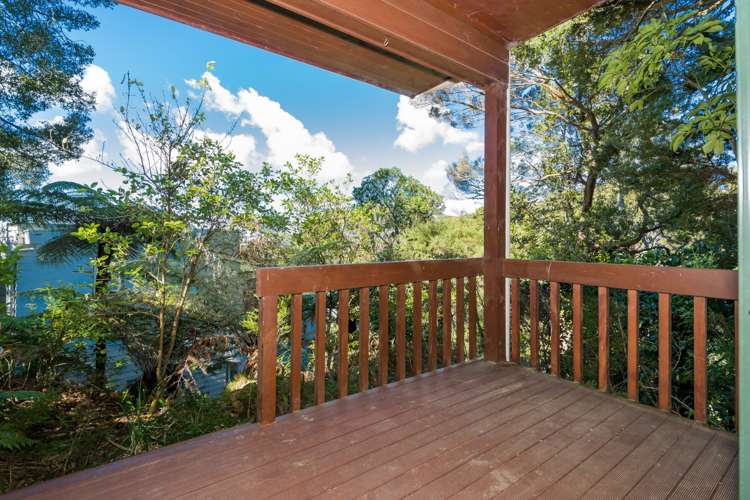 1 Bush View Lane Northcote Point_19