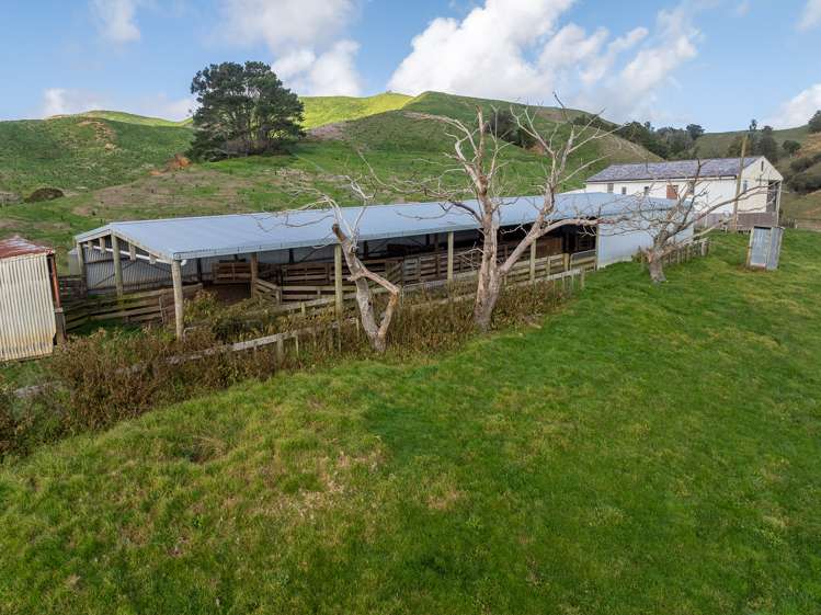 Lot 1 550 Dixon Road Te Akau_13