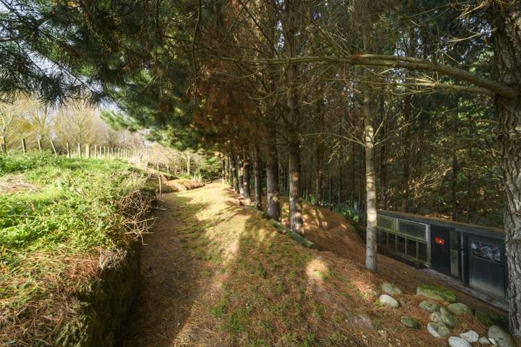 58 County Heights Drive Aokautere_24