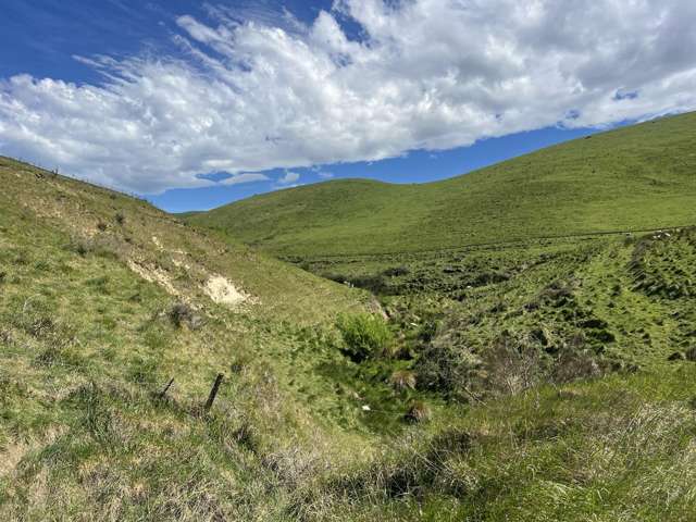 135 Iverachs Road Waiau_1