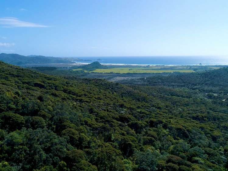 62 Kaitoke Lane Great Barrier Island_18