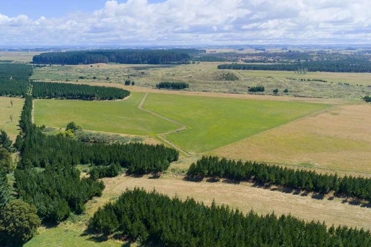 590 Brandon Hall Road Bulls_7