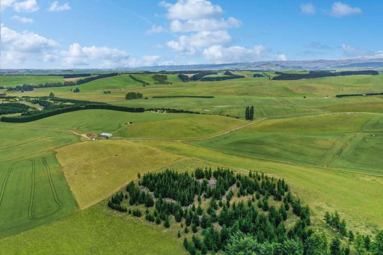 70 Finlay's Road Windsor_3