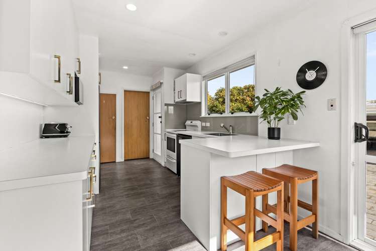 31 Plunket Street Tamatea_9