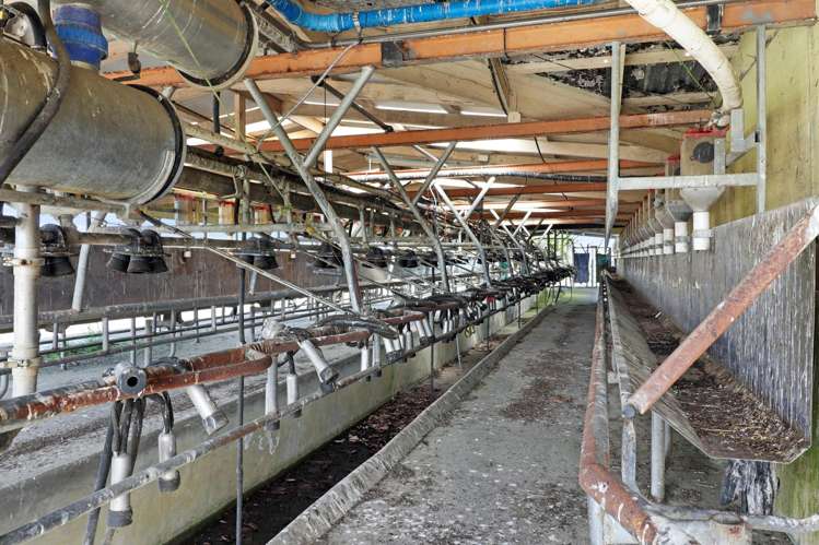 84 Goodwin Road Ohaupo_21