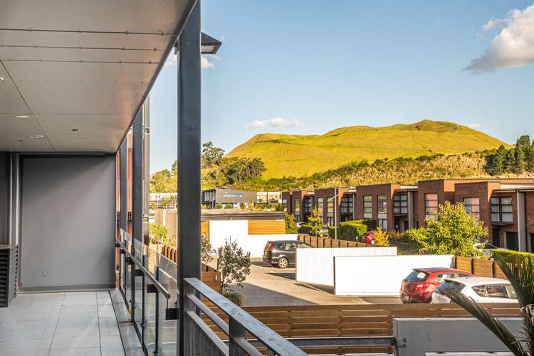 101/2 Bluegrey Avenue Stonefields_8