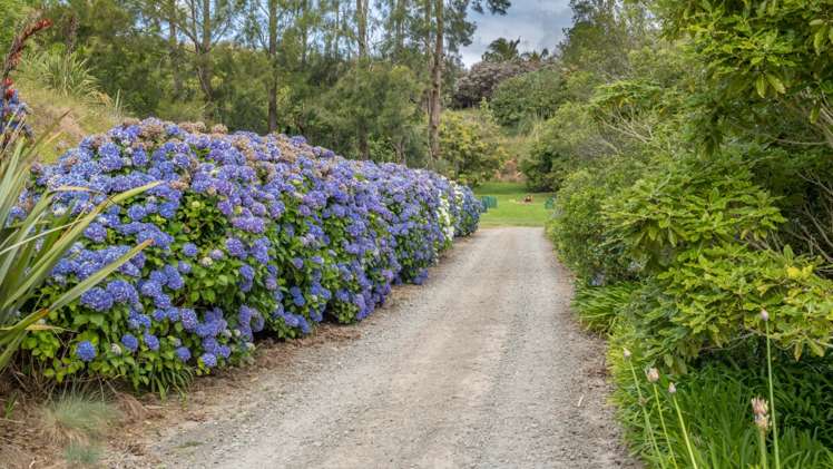 3 Te Karaka Drive Te Puna_22